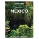 Experience Mexico