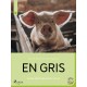 En gris