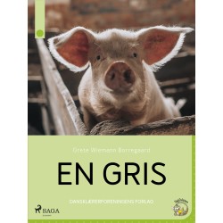 En gris