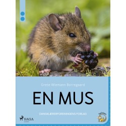 En mus