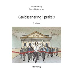 Gældssanering i praksis