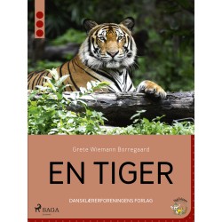 En tiger