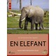 En elefant