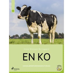 En ko