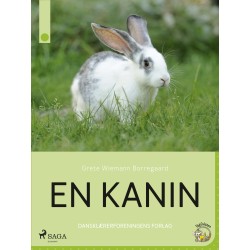 En kanin