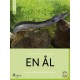 En ål