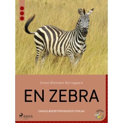 En zebra