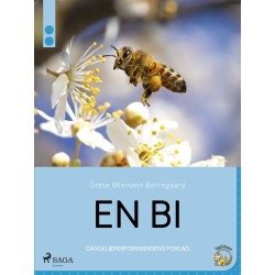 En bi