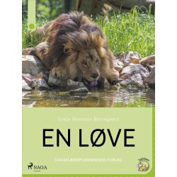 En løve