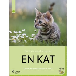 En kat