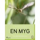En myg