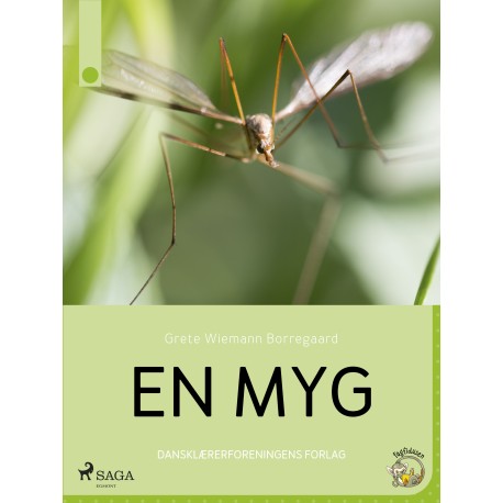 En myg