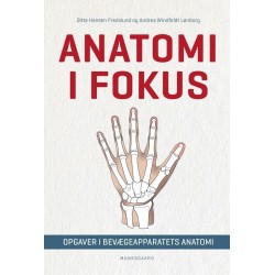 Anatomi i fokus