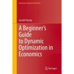 A Beginner’s Guide to Dynamic Optimization in Economics