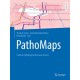PathoMaps: Clinical-Pathological Overview Charts