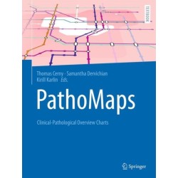 PathoMaps: Clinical-Pathological Overview Charts
