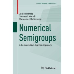 Numerical Semigroups: A Commutative Algebra Approach