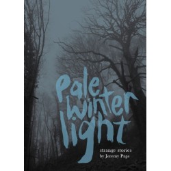 Pale Winter Light