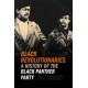 Black Revolutionaries: A History of the Black Panther Party