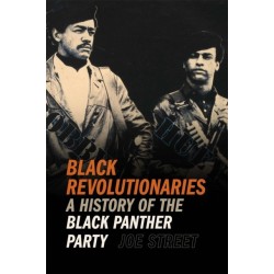 Black Revolutionaries: A History of the Black Panther Party