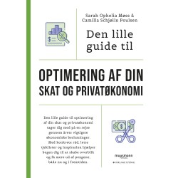 Den lille guide til optimering af din skat og privatøkonomi