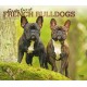 French Bulldogs, For the Love of 2026 Deluxe Flap Foil Calendar