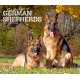 German Shepherds, For the Love of 2026 Deluxe Flap Foil Calendar
