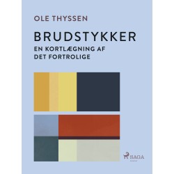 Brudstykker. En kortlægning af det fortrolige