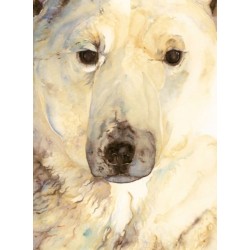 Ice Bear, The - Artist Edition