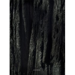 Asunder