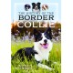 The History of the Border Collie