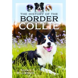 The History of the Border Collie