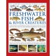 The Complete Illustrated World Guide to Freshwater Fish and River Creatures: A natural history and identification guide to the aquatic animal life of ponds, lakes and rivers, with more than 700 detailed illustrations and photographs