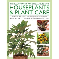 The Illustrated Practical Guide to Houseplants & Plant Care: Identifying, choosing and maintaining plants for your home, with an A–Z directory and over 600 photographs