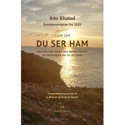 Som om du ser Ham: En spirituel rejse, der rører sjælen og henvender sig til dit sind