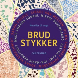 Brudstykker: Noveller til unge