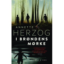 I brøndens mørke