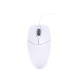 ACTIVE KEY Washable Scroll Wheel Mouse Watertight USB White
