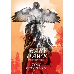 Baby Hawk: A Novel in Verse