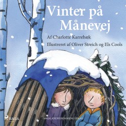Vinter på Månevej