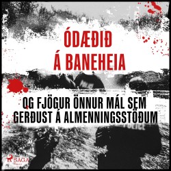 Ódæðið á Baneheia og fjögur önnur mál sem gerðust á almenningsstöðum