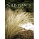 Wild Plants in Auckland: paperback