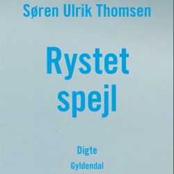 Rystet spejl