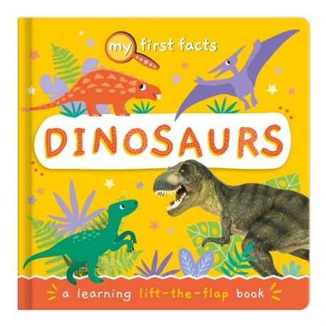Dinosaurs: a learning lift-the-flap book