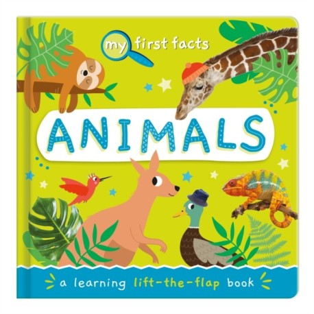 Animals: a learning lift-the-flap book