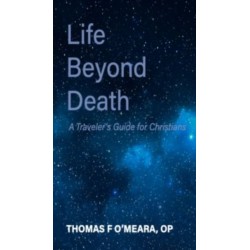 Life Beyond Death: A Traveler's Guide for Christians