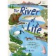 The River of Life: A lift-the-flap book about the amazing animals that live in rivers around the world