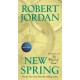 New Spring: The Novel