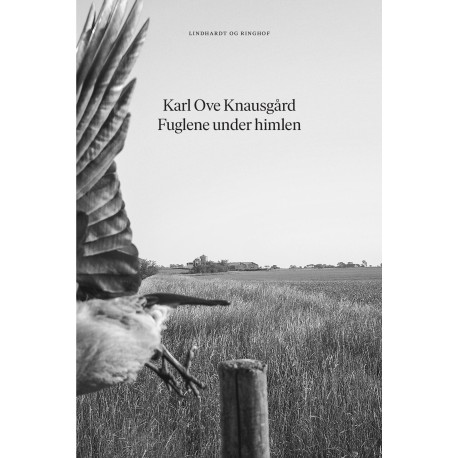 Fuglene under himlen