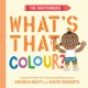 The Questioneers: What's That Colour?: A Board Book